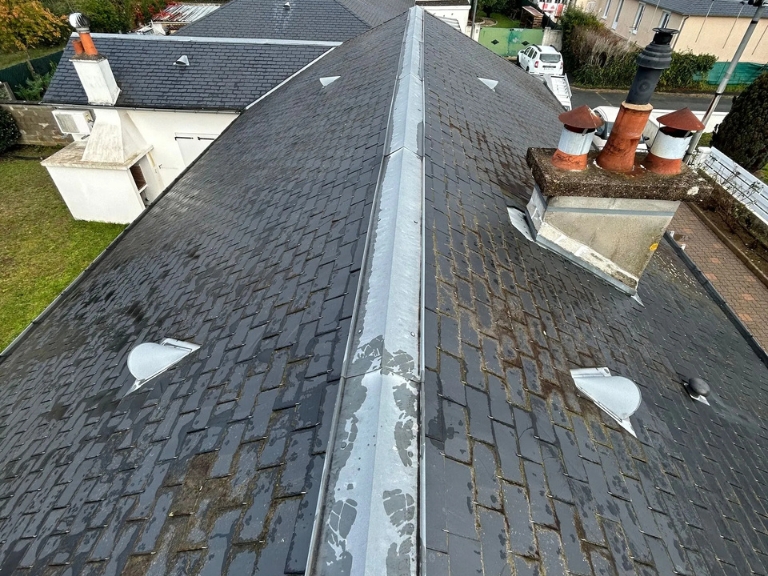 Nettoyage toiture et murs Nettoyage toiture et murs